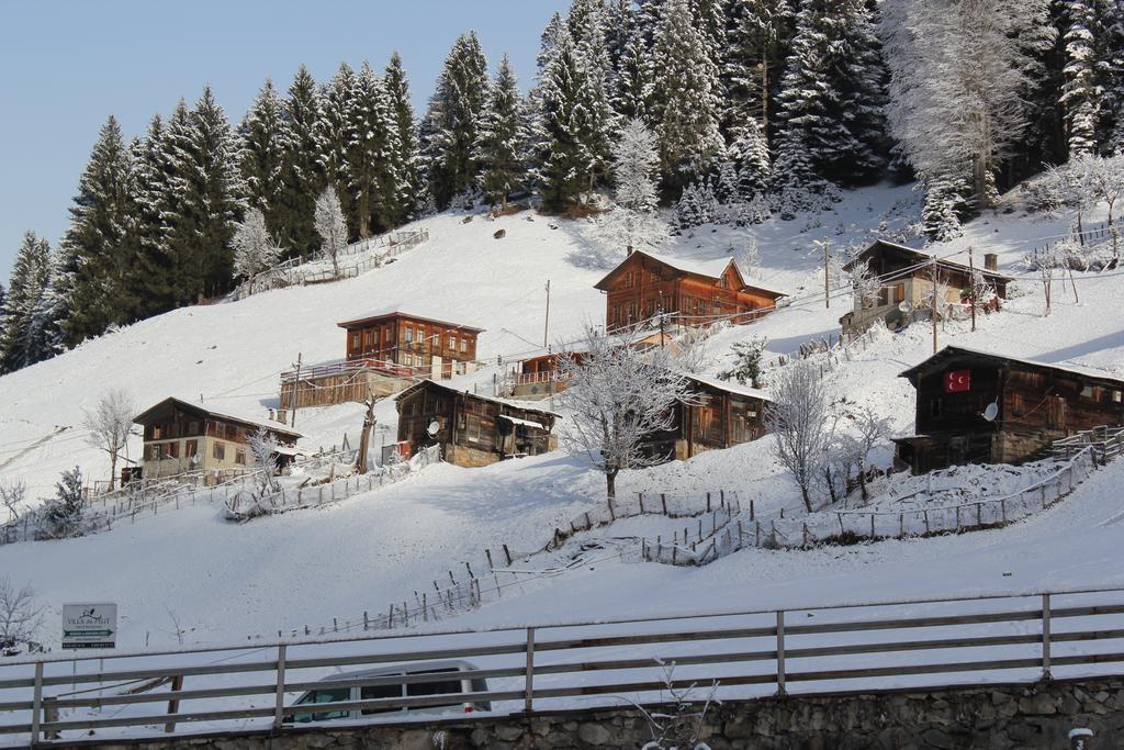 Kuspuni Dag Evi Villa Çamlıhemşin Екстериор снимка