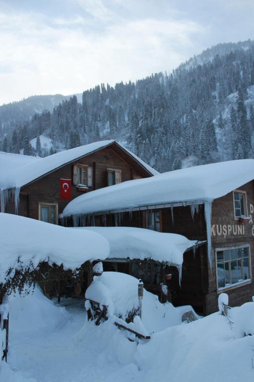 Kuspuni Dag Evi Villa Çamlıhemşin Екстериор снимка